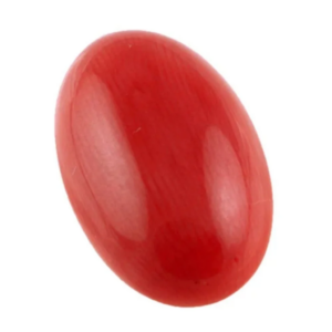 Red Coral (Moonga)